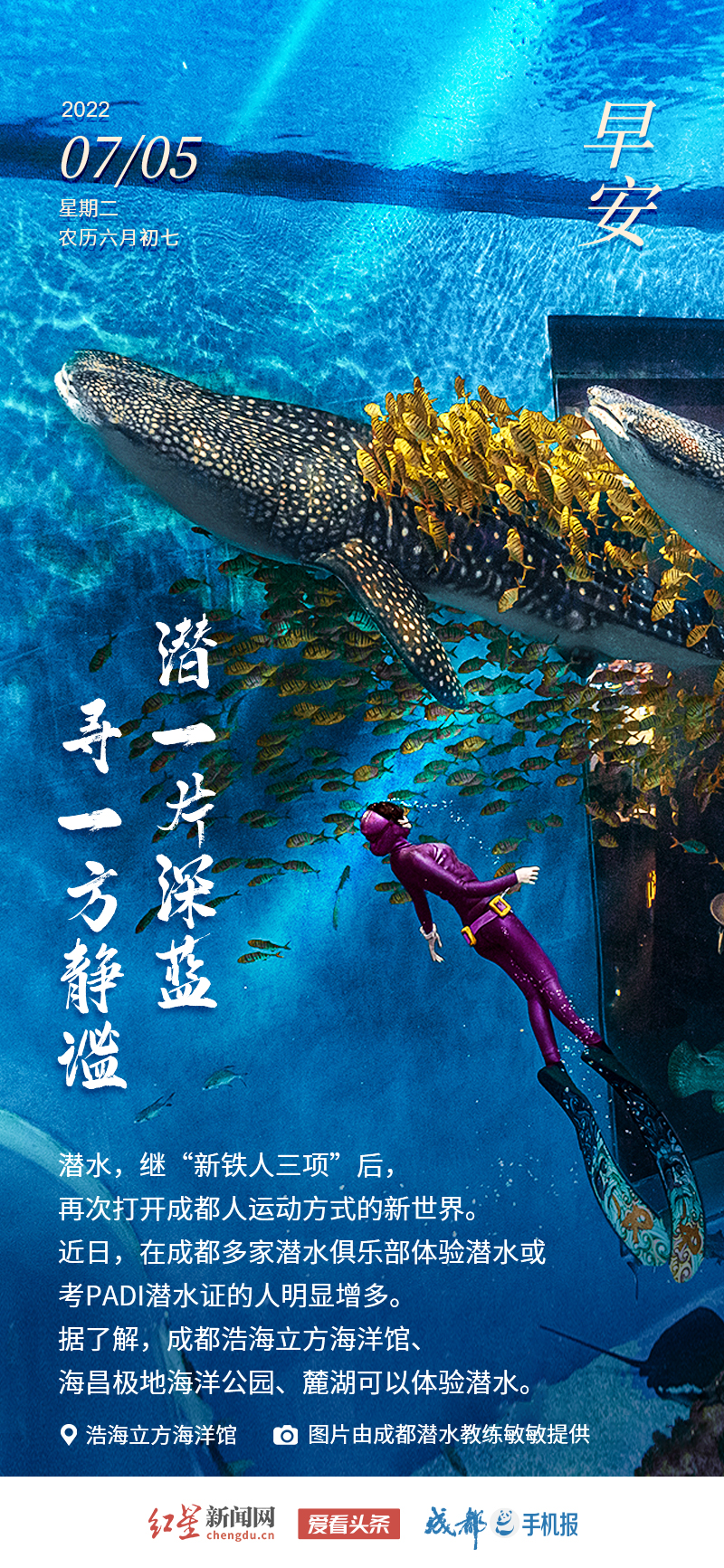 7.5海报