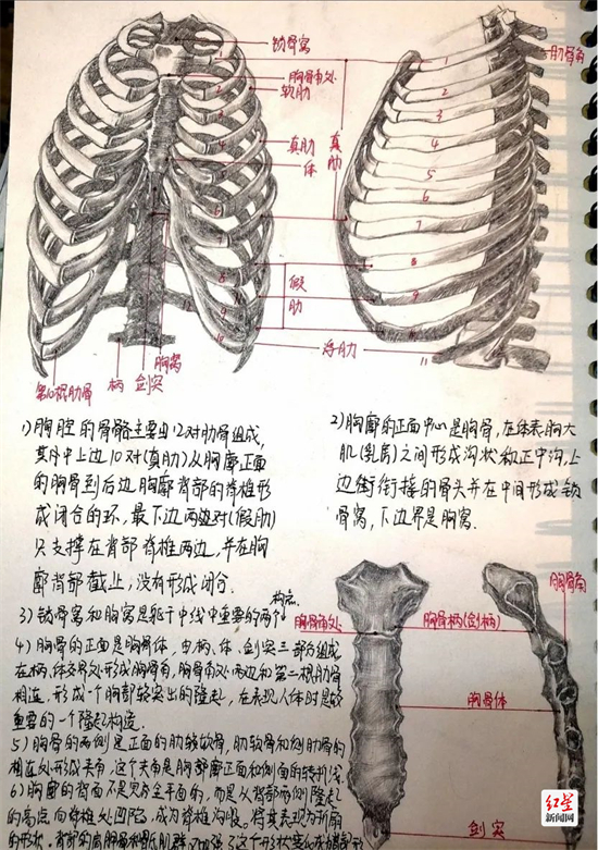 四川大学艺术学院2019级绘画专业的马睿莎1