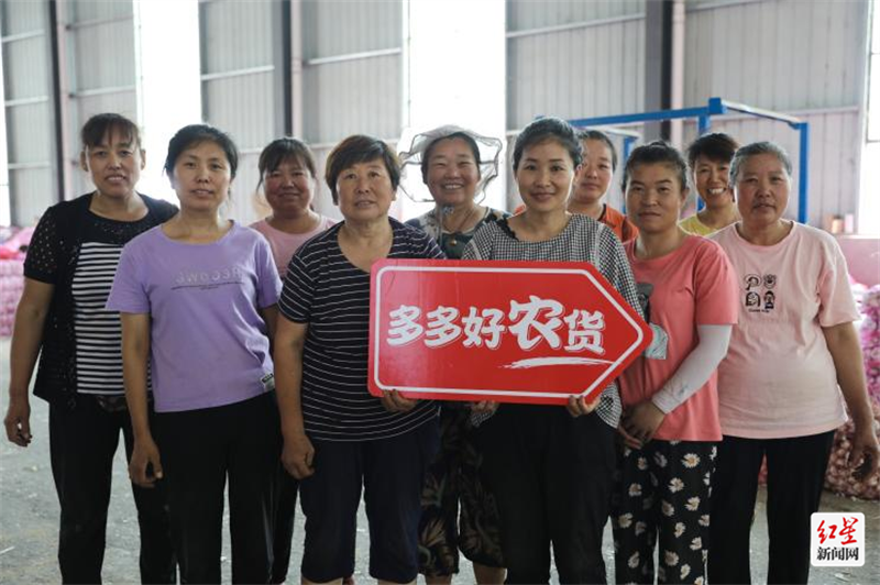 ▲ 在蒜乡金乡县，大蒜关系着礼乐之乡的民生福祉。而因电商兴起，当地蒜农的生活更加有滋有味。薛童｜摄