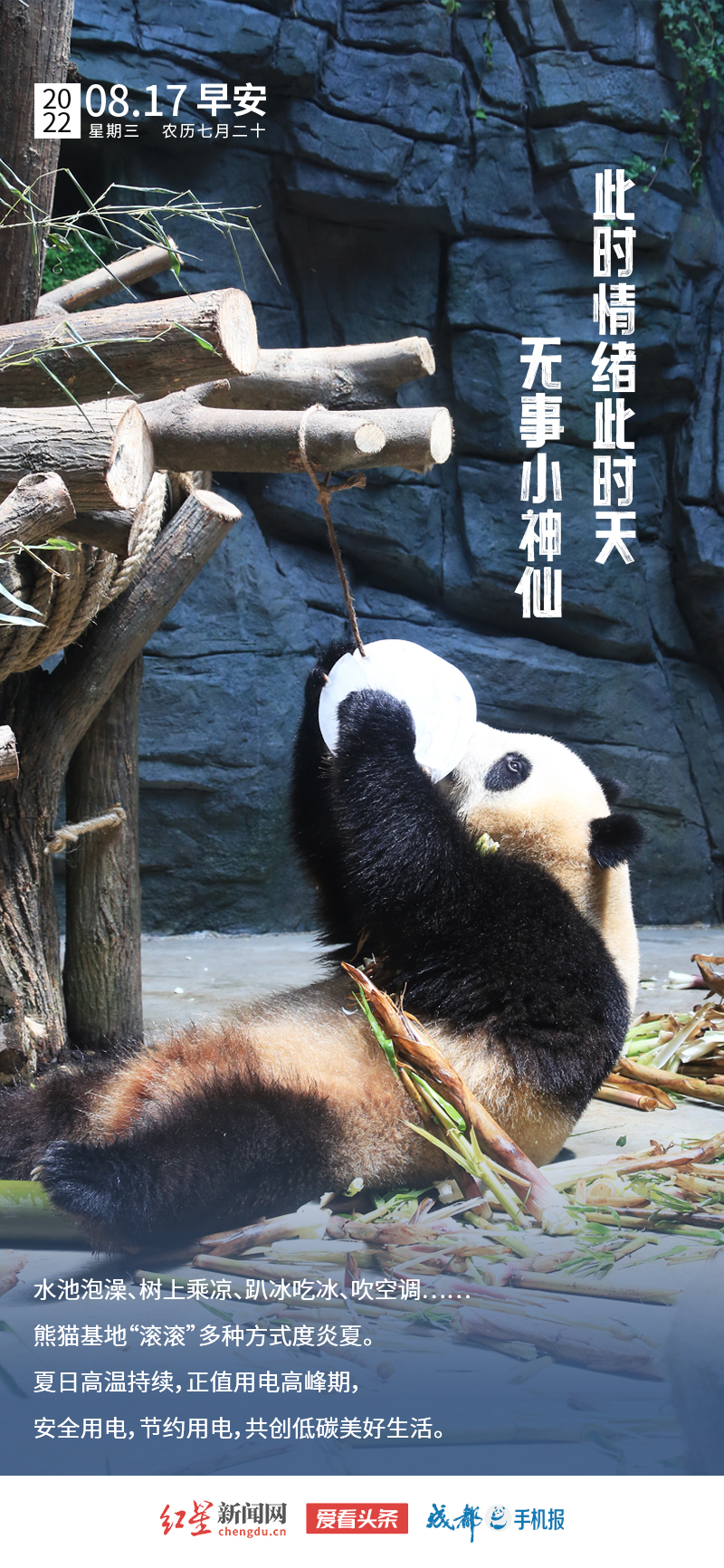 0817早安