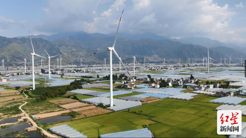 西昌葡萄是农产品地理标志产品，多为温室大棚种植。吴小川 摄
