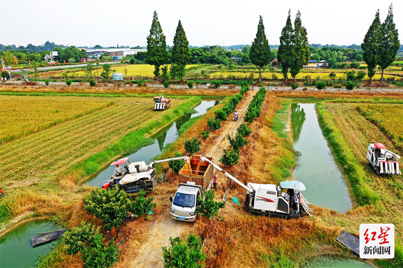 DJI_0094