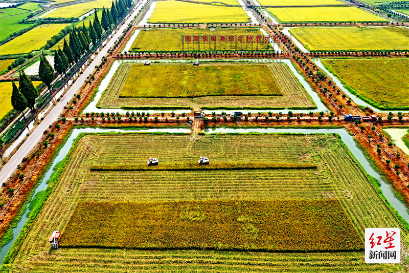 DJI_0133