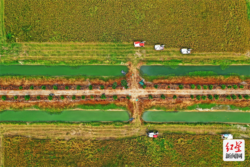 DJI_0062