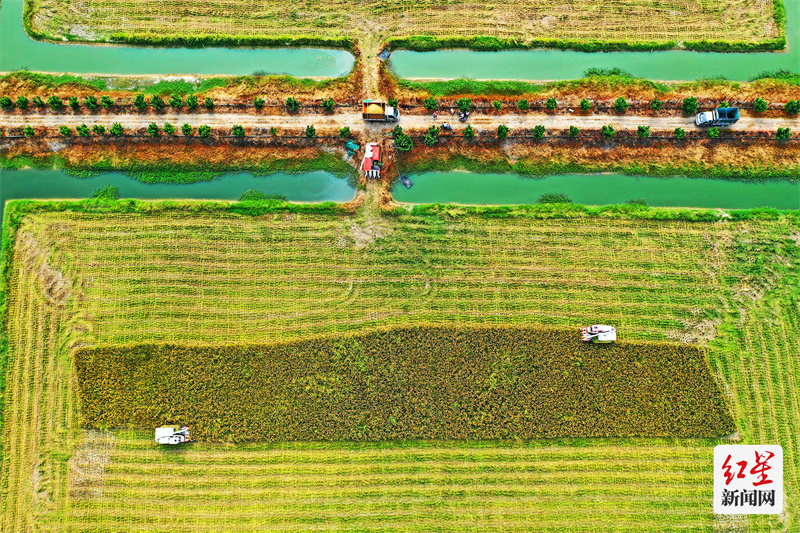 DJI_0121