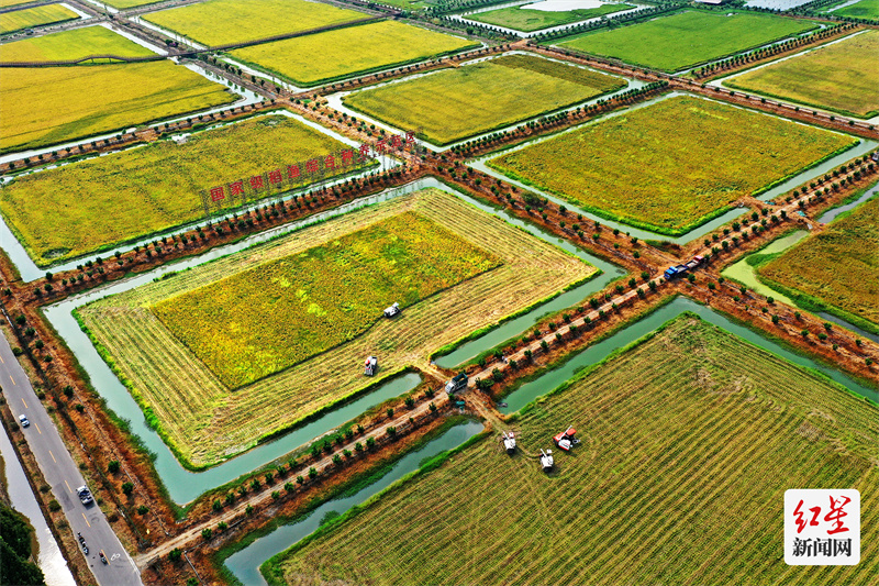 DJI_0154
