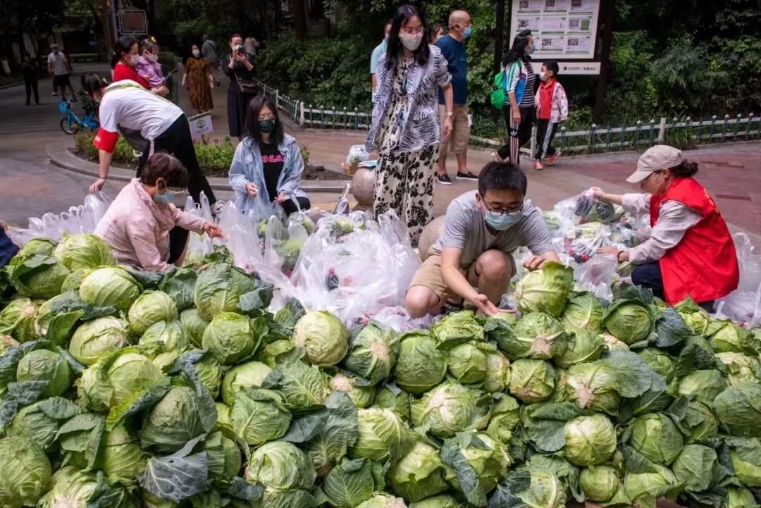 锦江区志愿者正在为封闭小区居民准备蔬菜。摄影：贾斌