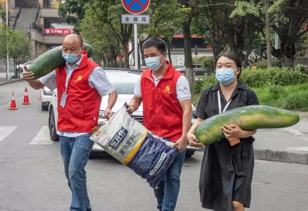 郫都中铁瑞景铭城 ，志愿者为小区居民送菜   摄影：江永辉