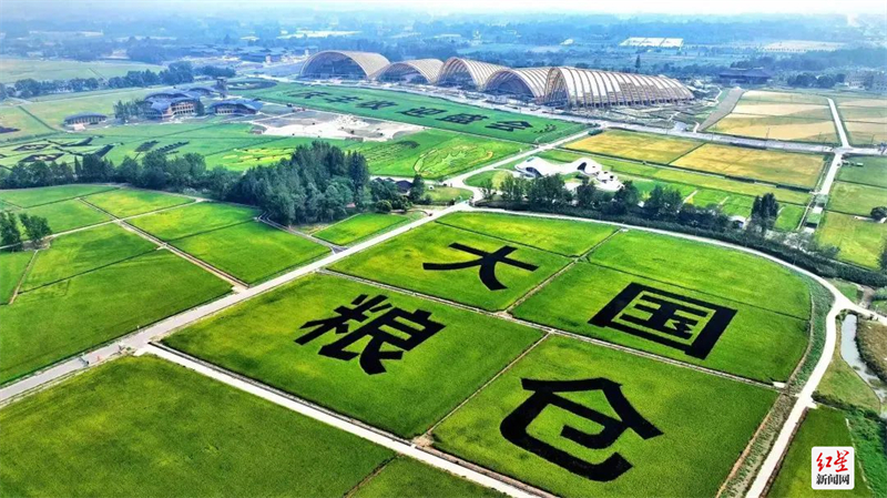 微信图片_20220914120446