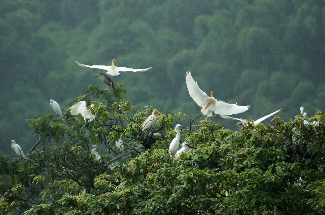 ▲朝阳湖风景区