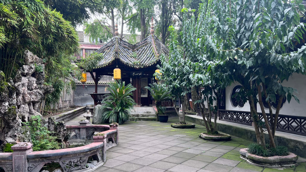 图片4