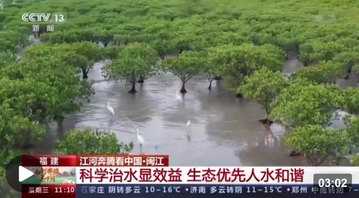 江河奔腾看中国丨木兰溪：从水患、水治到水美