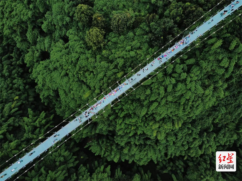 图4：游客在高空全景走廊纵览川西竹海