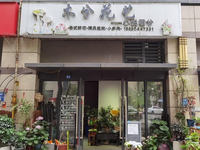 图片6
