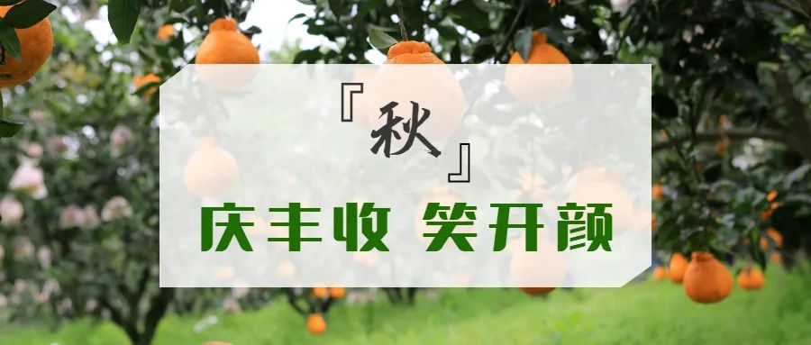 微信图片_20221012094805