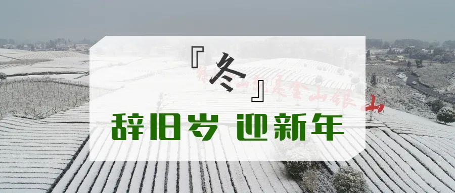 微信图片_20221012094833