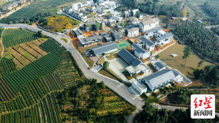 明月村