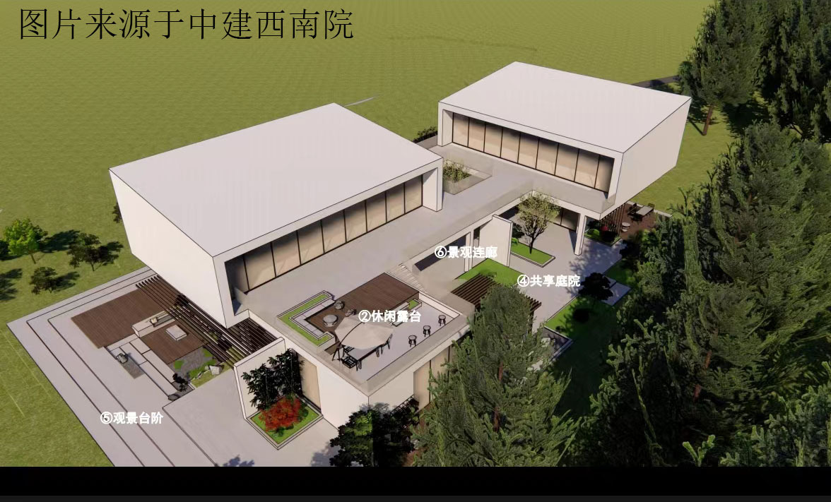 专业组投稿样图