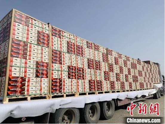 “疆果东送”千吨新疆阿克苏苹果治装待发。　浙江杭州援疆带领部提供