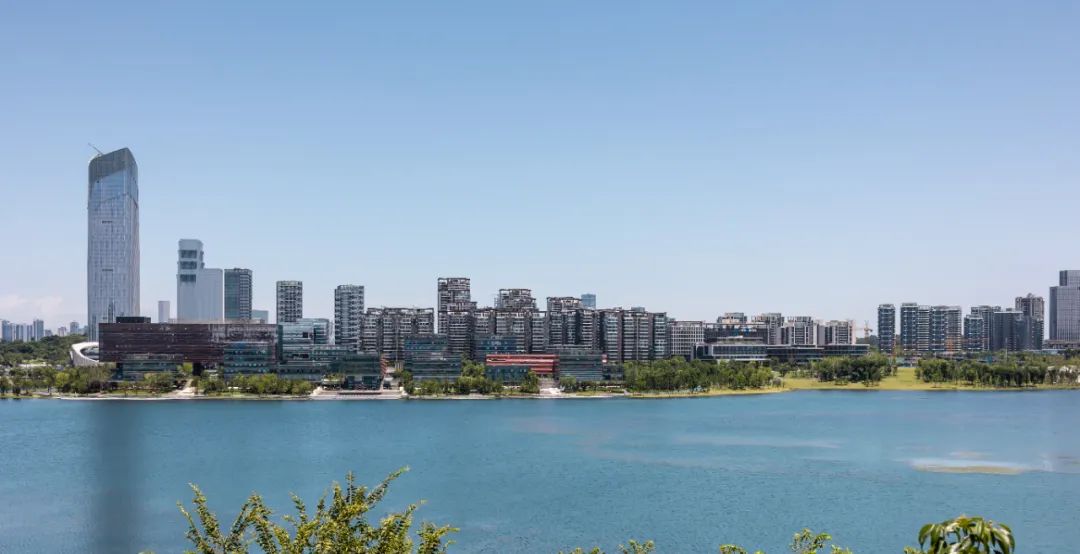 牵手世界500强！走进进博会成都这些项目签约落地→