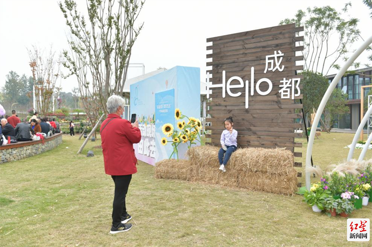 图片9