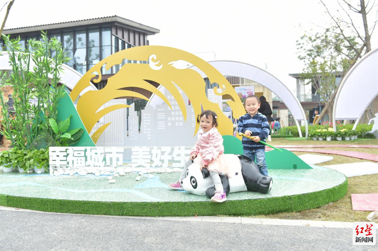 图片10