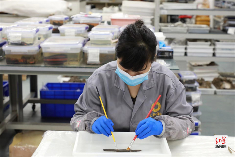 mmexport1671001158115