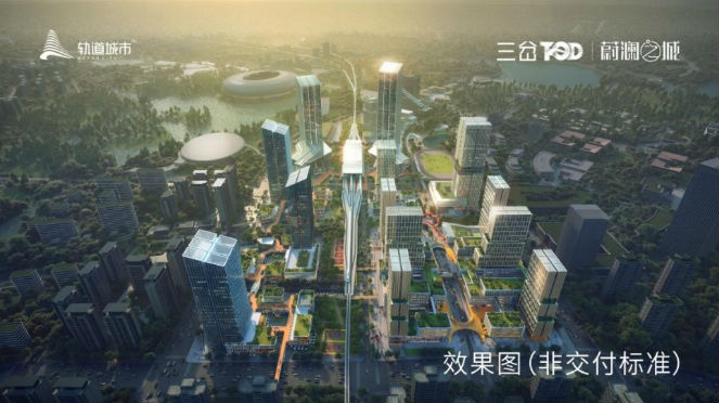 图片4