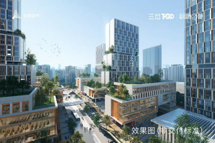 图片5