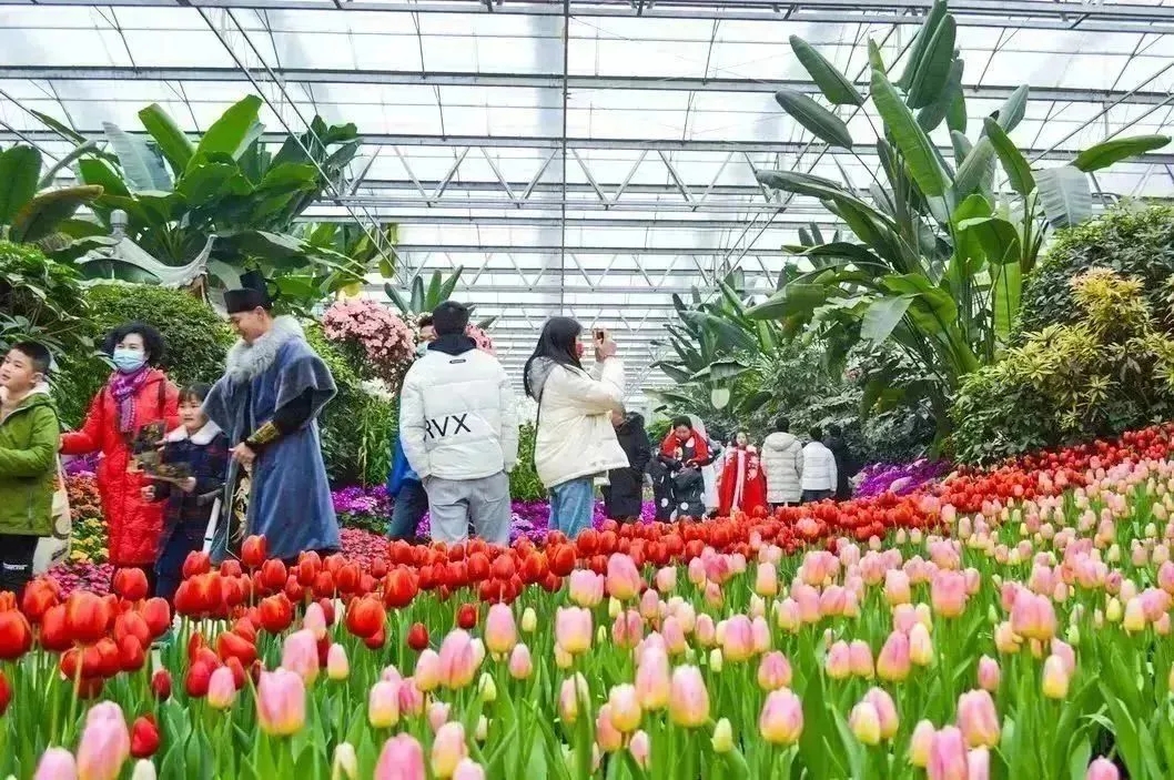 图片来源新津文旅