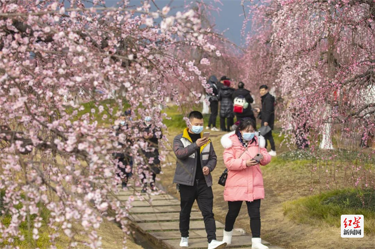 四川问花村2