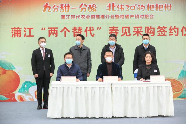 蒲江“两个替代”春见签约仪式