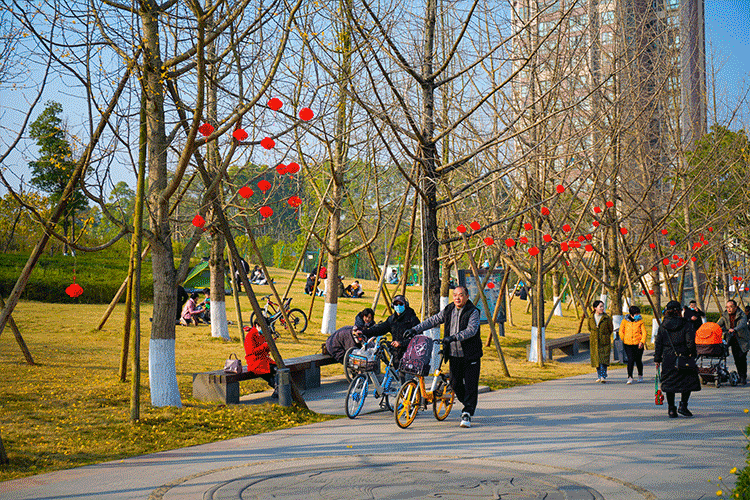 微信图片_20230112162014