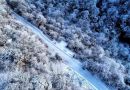 邛崃天台山景区迎来2023年第一场瑞雪