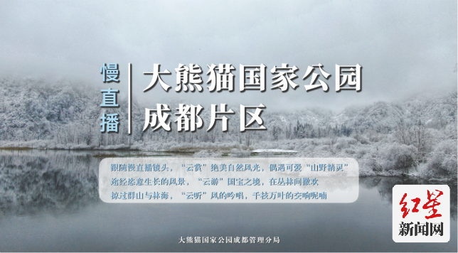 慢直播：成都熊猫公园·掌上冰雪秘境168