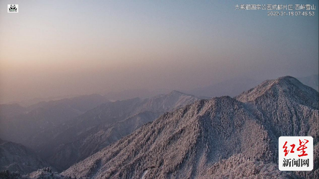 慢直播：成都熊猫公园·掌上冰雪秘境676