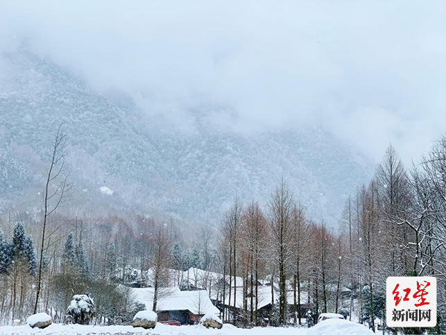 慢直播：成都熊猫公园·掌上冰雪秘境1440