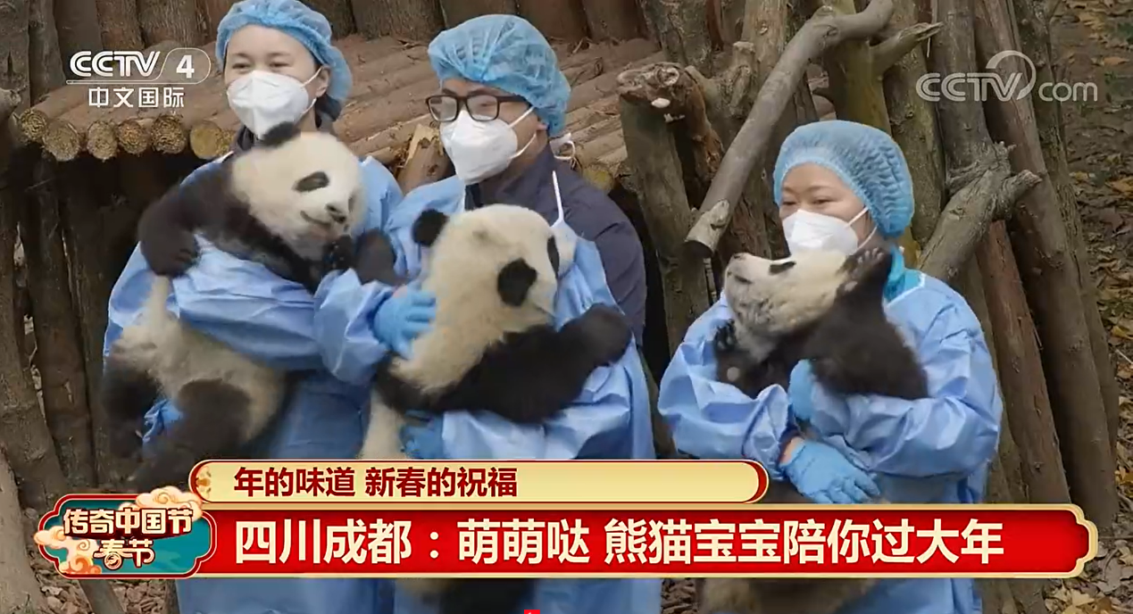 图片2