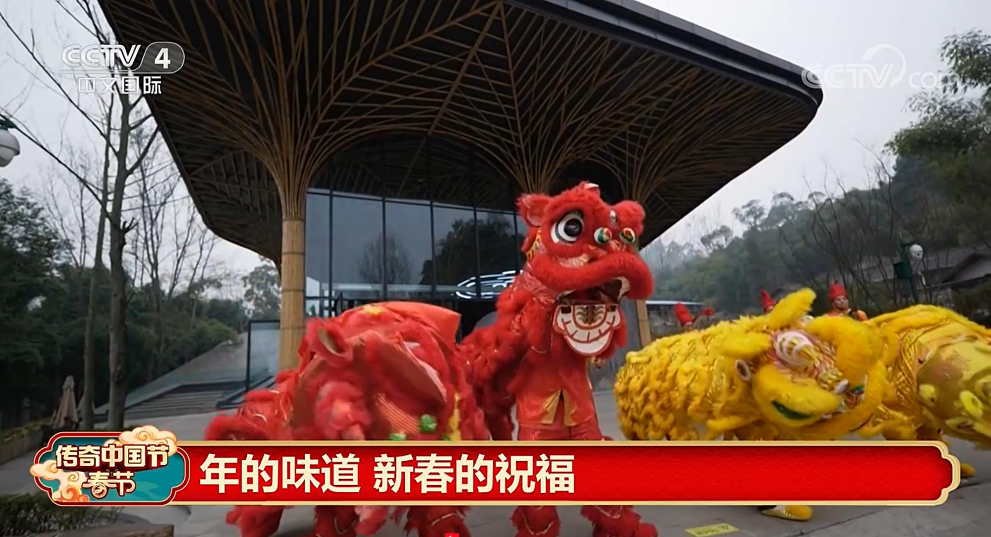 图片5