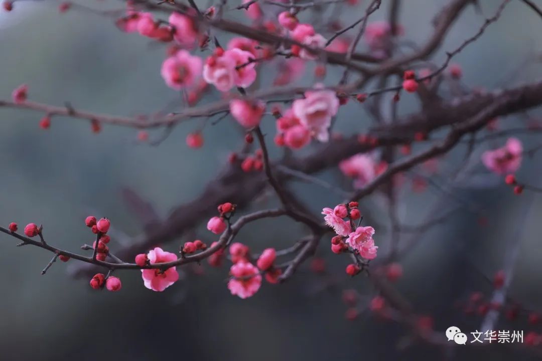 微信图片_20230201212554