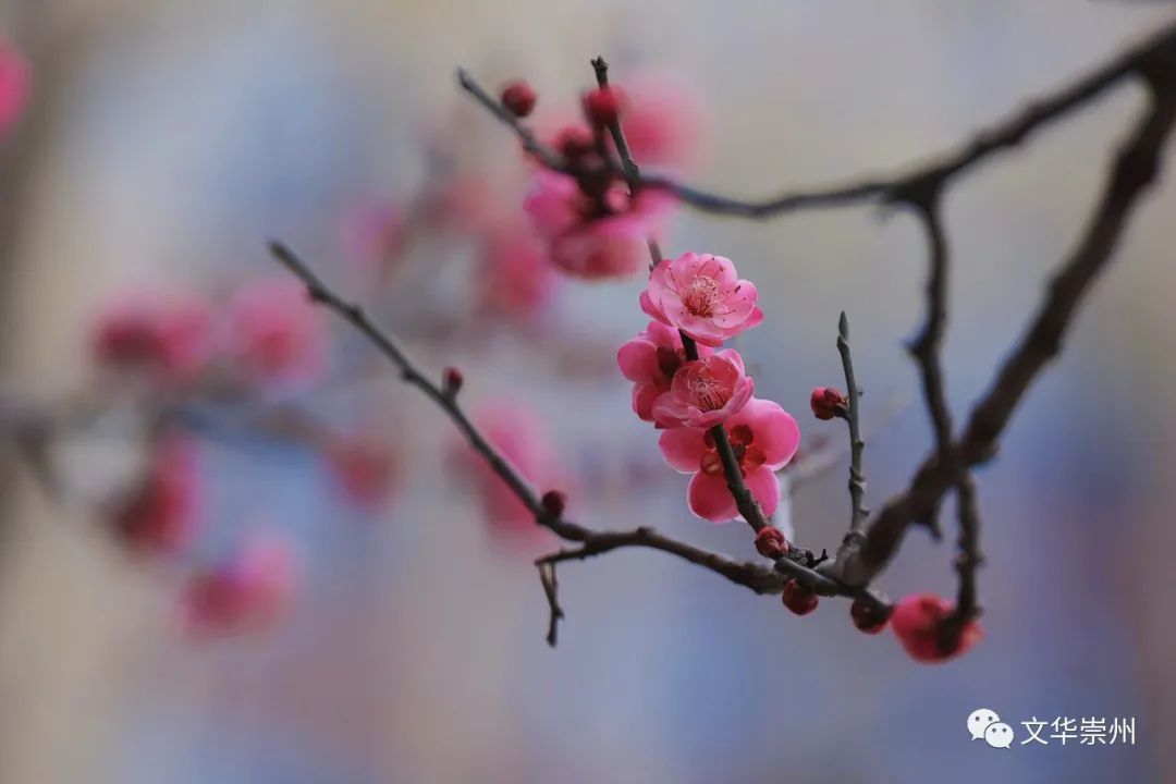 微信图片_20230201212607