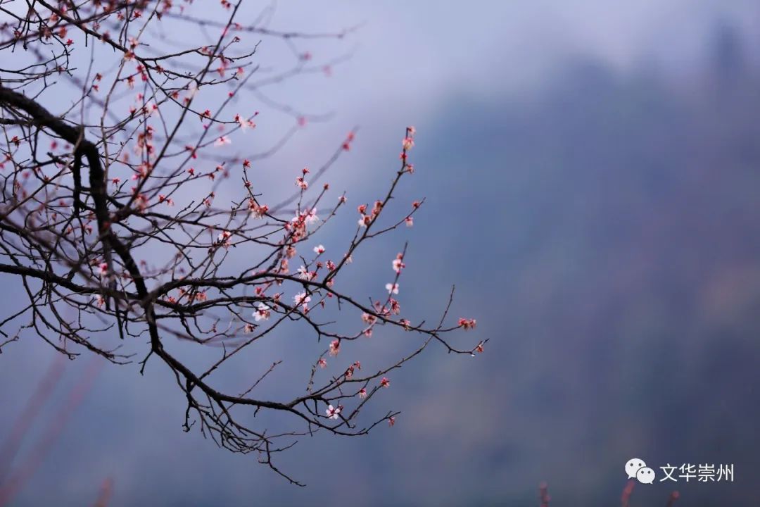 微信图片_20230214084744
