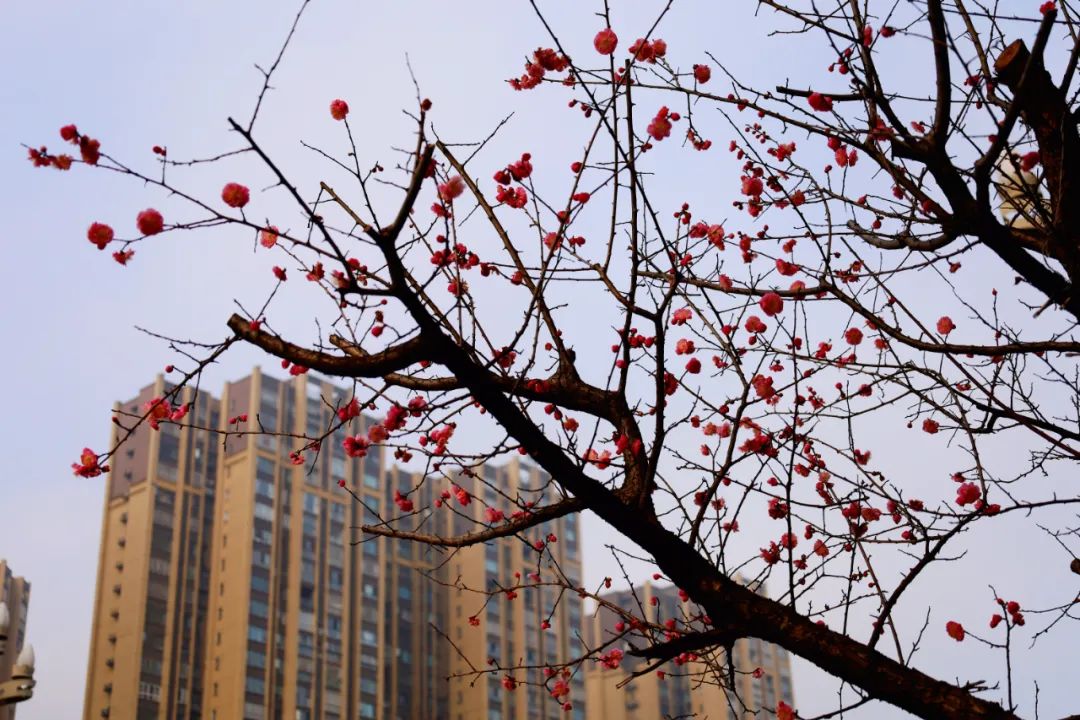 微信图片_20230301192948