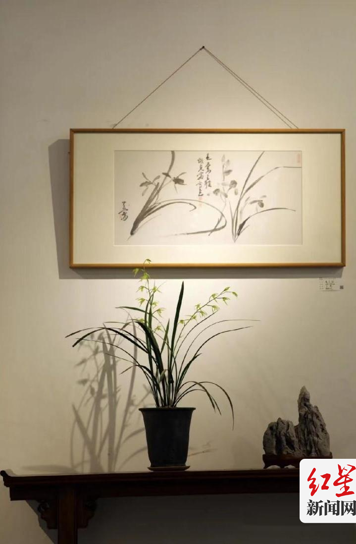 兰花3