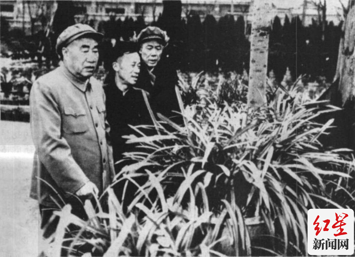 朱德