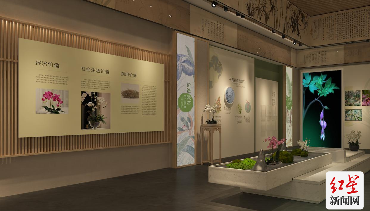兰花展