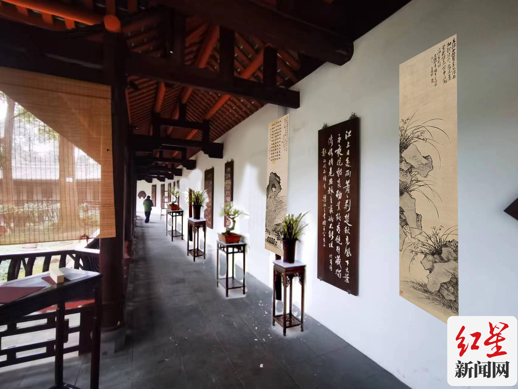 兰花展2