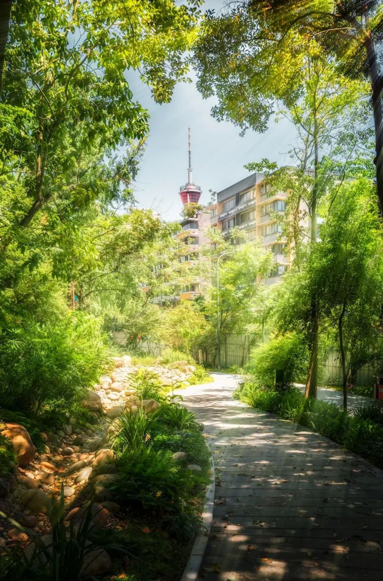 遇见锦江之美—用镜头留住锦江绝美光影(1)924