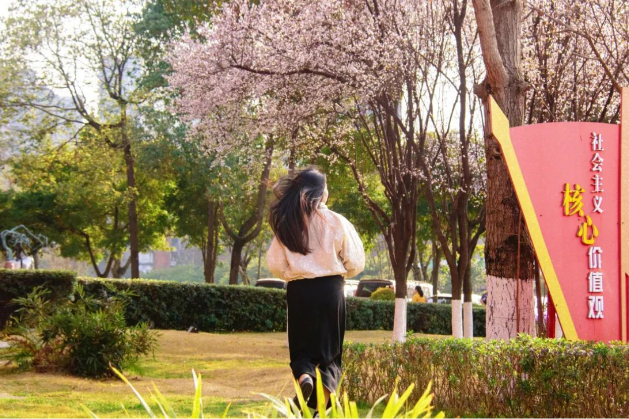 遇见锦江之美—用镜头留住锦江绝美光影(1)1214