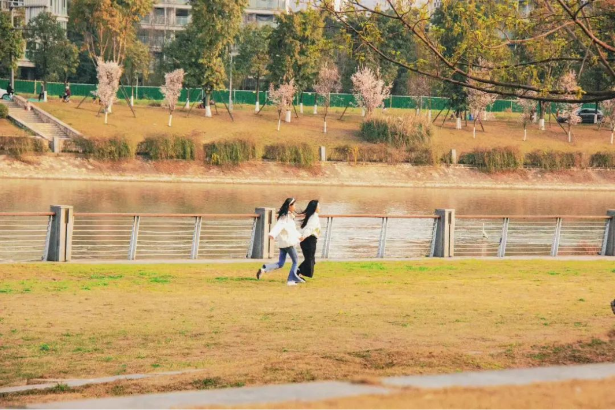 遇见锦江之美—用镜头留住锦江绝美光影(1)1740